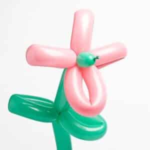 Cumple-Taller GLOBOFLEXIA